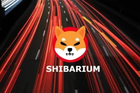 Shiba Inu Ekibi, Bol Bol SHIB Token Gerçekleştirecek!