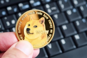 Dogecoin (DOGE) Ne İşe Yarar?