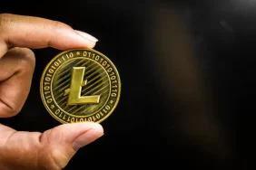 Litecoin (LTC) Ne İşe Yarar?