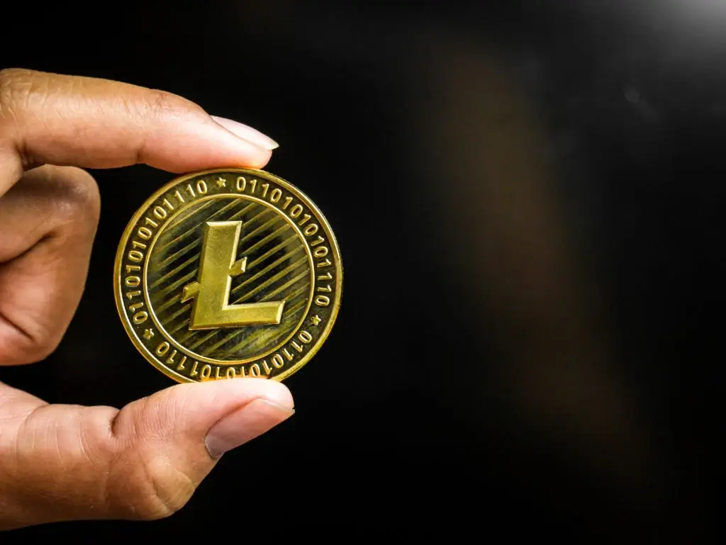 Litecoin (LTC) Ne İşe Yarar?