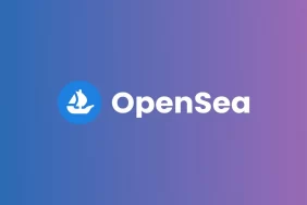 OpenSea, Kullancılarının Kimliklerini Açığa Çıkaran Bir Hatayı Düzelttiğini Bildirdi