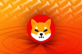 Shiba Inu, Blockchain'de Kadınları Desteklemek Amacıyla IWB ile Ortaklığa Gitti