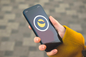 Bağımsız Terra Geliştiricileri Tarafından Oluşturulan Terraport Hacklendi