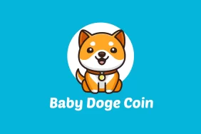 Popüler Memecoin'lerden Baby Doge, Kısa Sürede Yüzde 72 Arttı