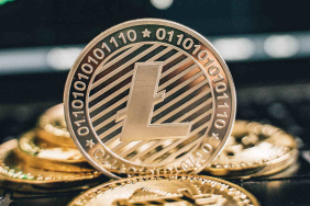 Litecoin (LTC) İçin Halving Yaklaştı!