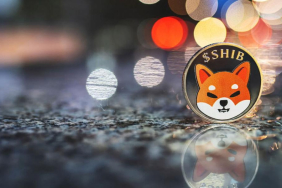 Shiba Inu (SHIB), Günün En Çok Yükselen İkinci Coini Oldu