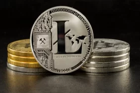 Litecoin'de (LTC) Beklenti Giderek Büyüyor
