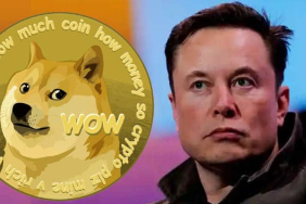 Elon Musk'ın Hamlesi, Dogecoin'i (DOGE) Anlık Olarak Yüzde 10'a Yakın Yükseltti