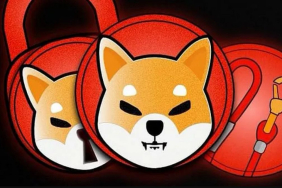Shiba Inu (SHIB), Hangi Fiyatlara Yükseliş Sergileyebilir?