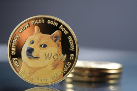 Dogecoin'in (DOGE) Hacmi, Yavaş Yavaş Shiba Inu'ya (SHIB) Geçiyor