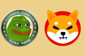 Shiba Inu (SHIB) ve Pepe (PEPE), Gerçekleştirdikleri Yükselişler İle Güne Damga Vurdu