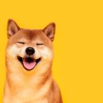 Dogecoin (DOGE) Son Durum!