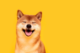 Dogecoin (DOGE) Son Durum!
