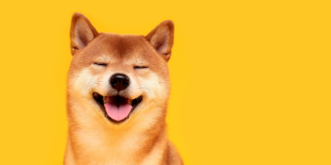 Dogecoin (DOGE) Son Durum!
