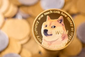 Shiba Inu (SHIB), Bir Miktar Geri Çekilse de Yarattığı İşlem Hacmiyle Dikkatleri Çekti