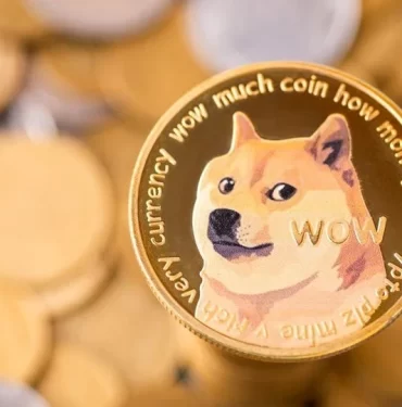 Shiba Inu (SHIB), Bir Miktar Geri Çekilse de Yarattığı İşlem Hacmiyle Dikkatleri Çekti